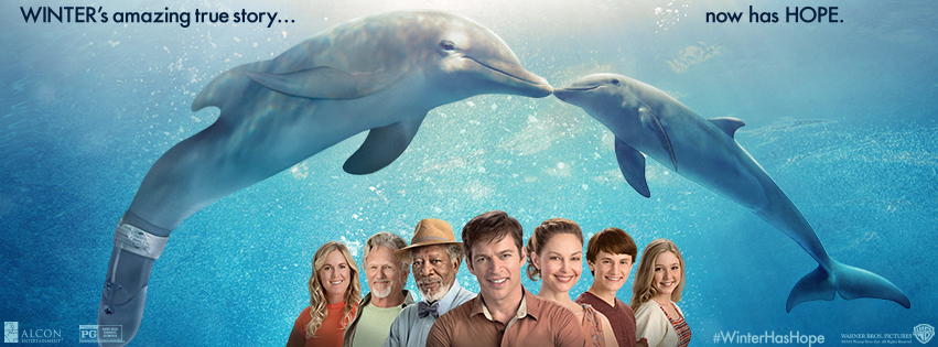 Dolphin Tale